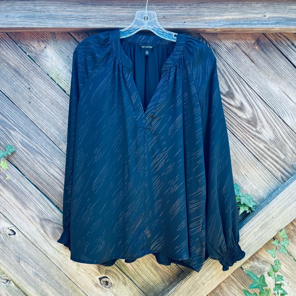 The Limited Pink Accented Black Blouse